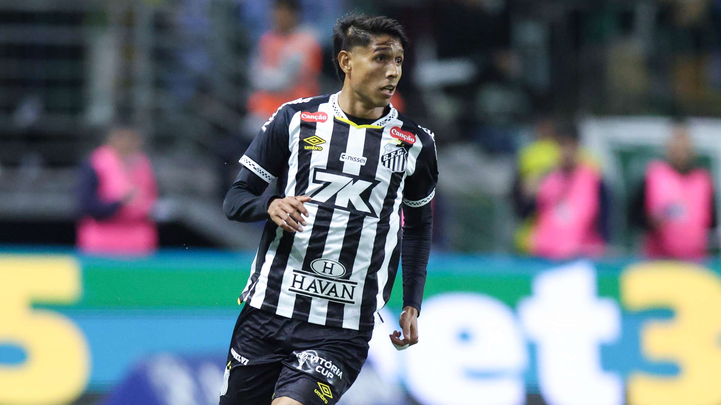 Palmeiras v Santos - Brasileirao 2025